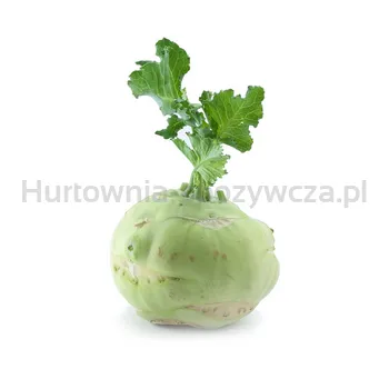 Kalarepa Włochy szt.