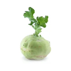 Kalarepa Włochy 1Szt