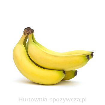 BANANY CHIQUITA PREMIUM 18KG