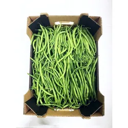 Fasolka Szparagowa Zielona Włochy 5 Kg