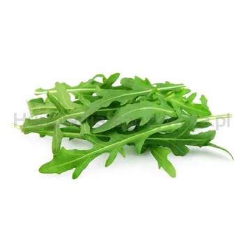 Bio Rukola Włochy 100G