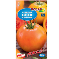 Pomidor Lolek