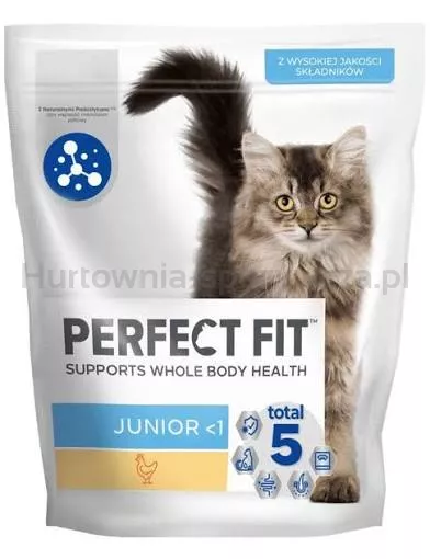 Perfect Fit Junior Lt,1 Bogaty W Kurczaka 750G