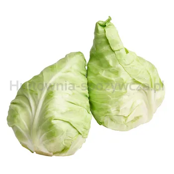 Kapusta Stożkowa (6) Włochy 1Szt