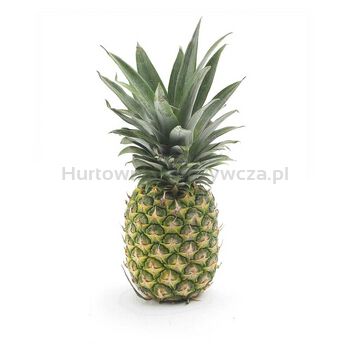 Ananas Kostaryka (Szt)