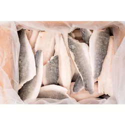 Freezco Morszczuk kapski filet ze skórą 9 -14 oz 5kg IWP mrożony