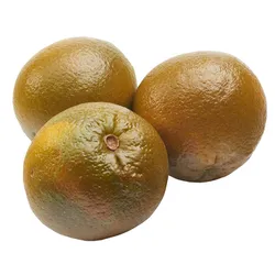 Pomarańcze Czekoladowe Układane Navel Klasa I Hiszpania kg