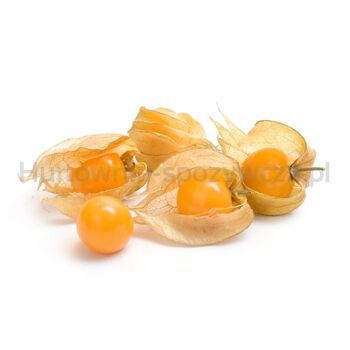 Physalis 100G