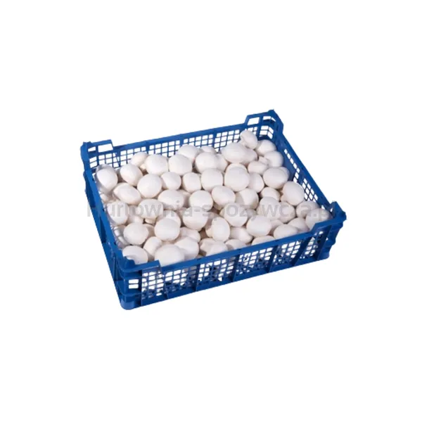 Pieczarka Polska 3Kg