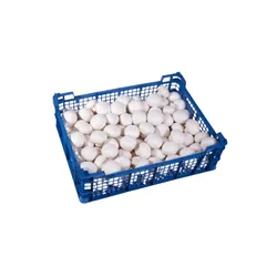 Pieczarka Polska 3Kg