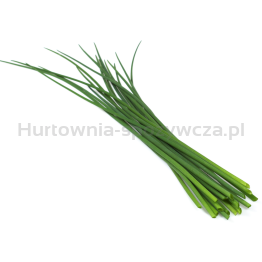 Szczypiorek (Szt)