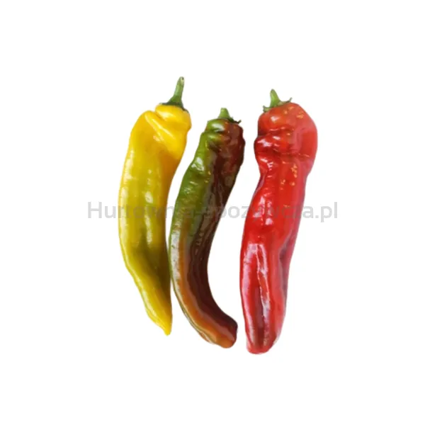 Papryka Słodka Palermo Mix Klasa I Włochy 4,5Kg