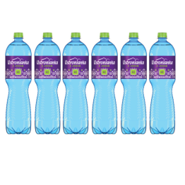 Woda Ustronianka Z Jodem Lekkogazowana 1,5L<br>(Data przydatności 31.07.2025)