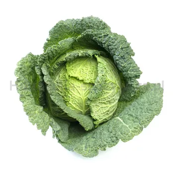 Kapusta Włoska Włochy 1 Szt