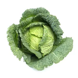Kapusta Włoska Włochy 1 Szt