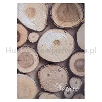 Brulion Office Products, Nature, A4, W Kratkę, 96 Kart., Mix - 2