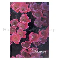 Brulion OFFICE PRODUCTS, Nature, A4, w kratkę, 96 kart., mix - 3