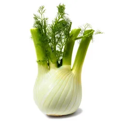 Koper Włoski Włochy 5Kg