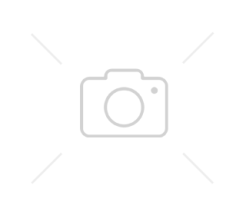Morliny Schab Wieprzowy Plaster 250g