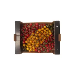 Pomidor Daktylowy Gandini Trimix Klasa I Włochy 3Kg