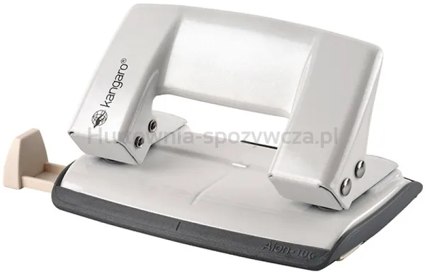 Kangaro Dziurkacz Aion-10G/S, dziurkuje do 10 kartek, metalowy, w pudełku PP, metaliczny biały