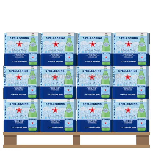 Woda S.Pellegrino gazowana 0,75 l <br>(Paleta 990 szt.)  SK