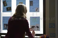 Taśma klejąca SCOTCH® Wall-Safe, bezpieczna dla ścian, na podajniku, 19mm, 16,5m, transparentna - 4