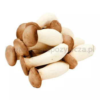 Eryngi 200G