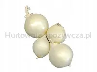 Cebula Biała Hiszpania 1kg