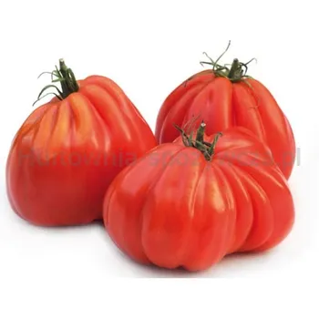 Pomidor Bawole Serce Klasa I Włochy 7,5Kg