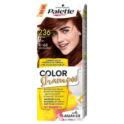 Palette Szampon Koloryzujący Kasztan 236