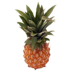 Ananas Baby Mauritius (Szt)