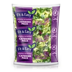 Sałatka Fit &Amp Easy Weekend Catering 500G