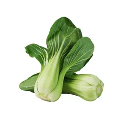 Kapusta Pak Choi Holandia (Szt)
