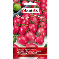 Pomidor Malinowy Kapturek PlantiCo