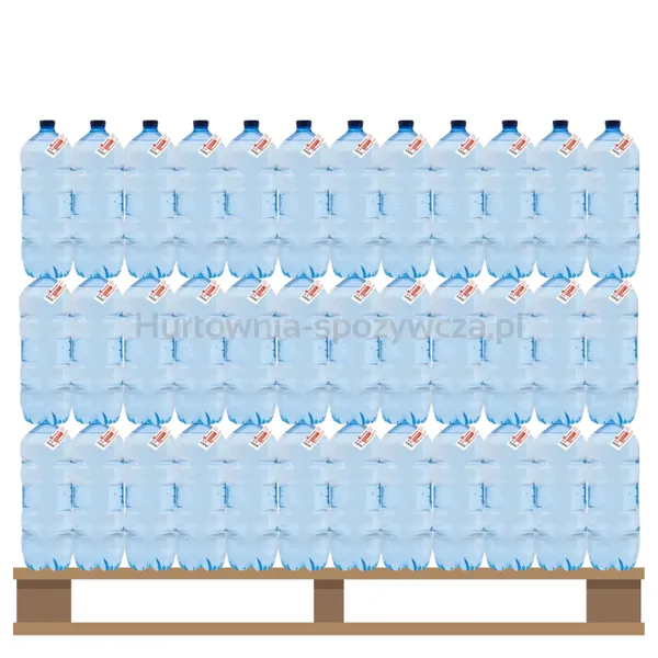 Tge Woda źródlana Niegazowana 5 l <br> Paleta 162 szt.