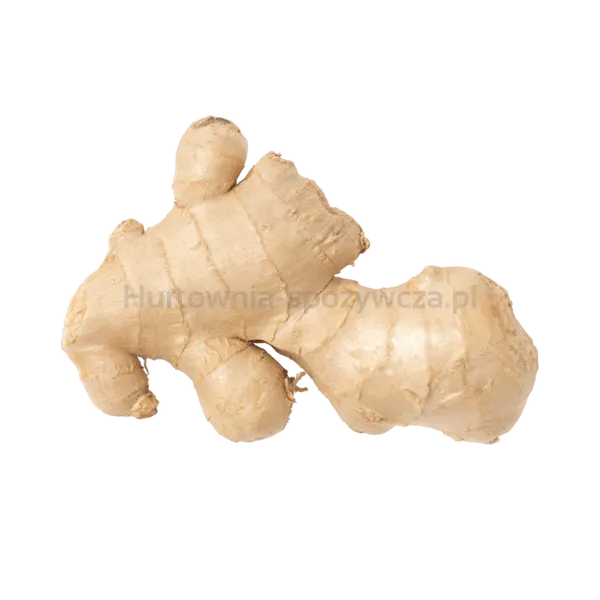 Imbir Tajlandia 0,5 kg