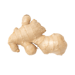 Imbir Tajlandia 0,5 kg