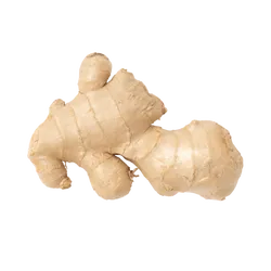 Imbir Tajlandia 0,5 kg