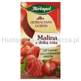Herbapol Herbaciany Ogród herbatka owocowa malina z dziką różą 20Torebek