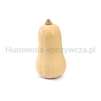 Dynia Piżmowa Polska około 3 kg