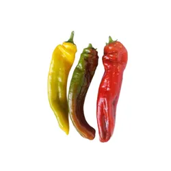 Papryka Słodka Palermo Mix Klasa I Włochy kg