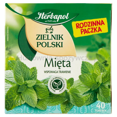 Herbapol Zielnik Polski Mięta 40Tb X 2G