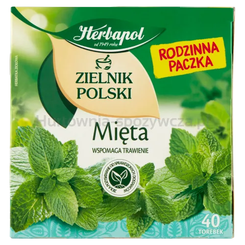 Herbapol Zielnik Polski Mięta 40Torebek X 2G