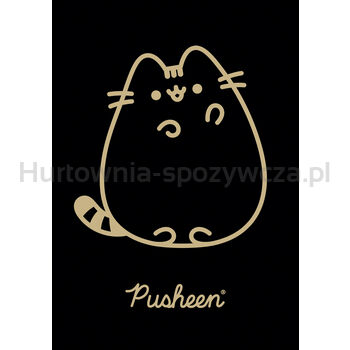 Unipap zeszyt okładka laminowana A5, 60 kartek, krata, Pusheen