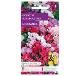Godecja, Azalia Letnia Godetia Grandiflora Mieszanka 0.50G Legutko