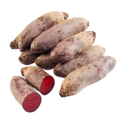 Burak Podłużny Polska kg