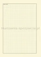 Donau Notatnik Life, organizer, 165x230mm, 80 kart., pomarańczowy  - 3