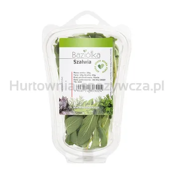 Szałwia Cięta 30G Baziółka