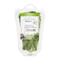 Baziółka Szałwia Cięta 30G 